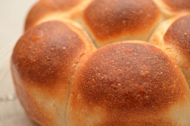 「ホシノ丹沢天然酵母」でパンを焼く　基本のパン編